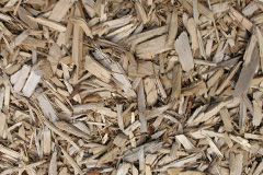biomass boilers Grayrigg